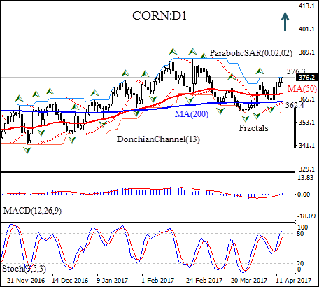 Corn Daily Chart