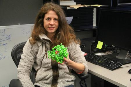 © Amy Nordrum/International Business Times. Ingrid Swanson Pultz holds a model of an enzyme called KumaMax that she hopes will help patients with celiac disease break down gluten.