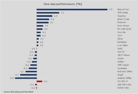 One day performance