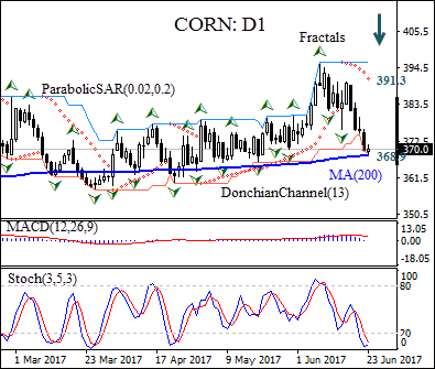 Corn Daily Chart