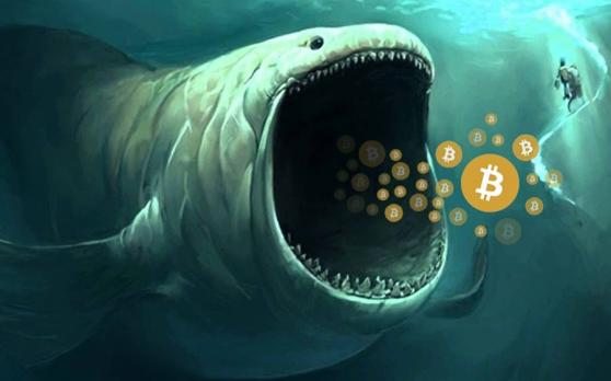 Bitcoin satoshi