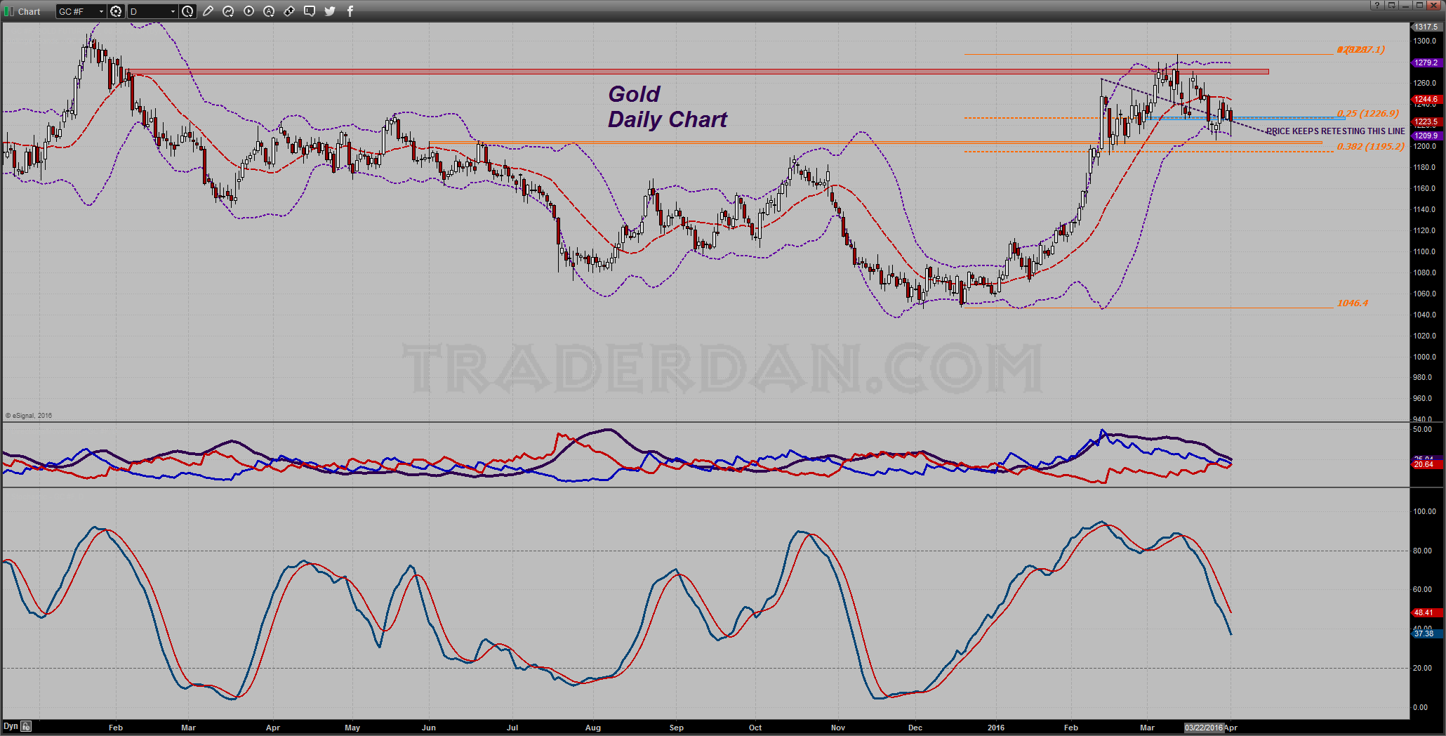 Gold Daily