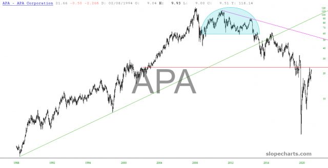 APA Chart
