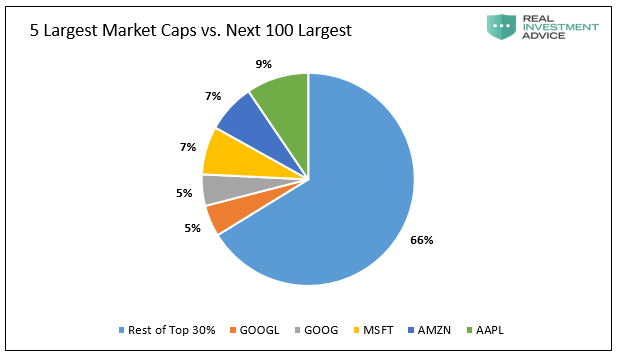 5 Largest Market Caps Vs Next 100 Largest