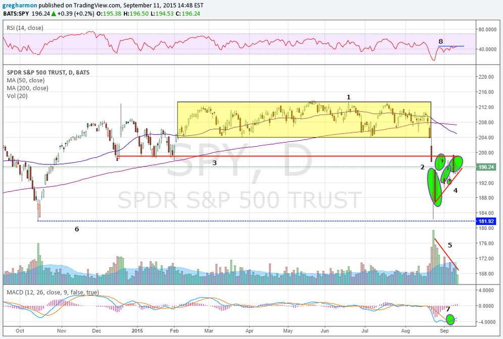 SPDR S&P 500 Trust