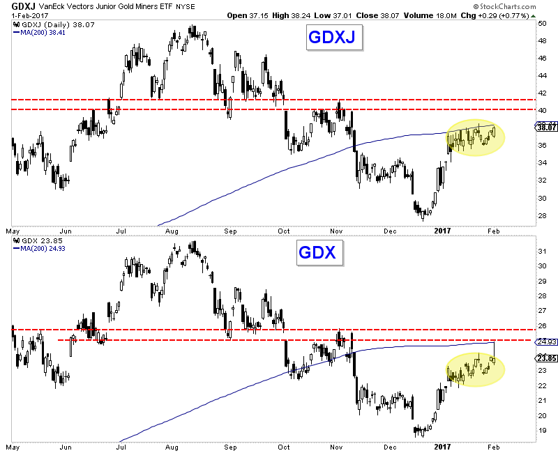 Daily GDXJ:GDX 