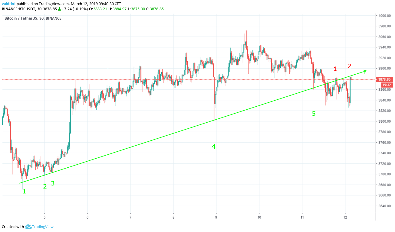 BTC Support line