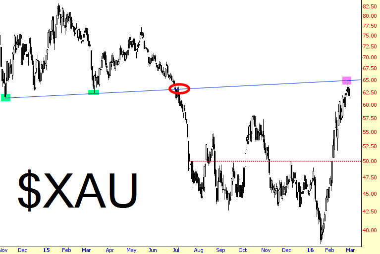 XAU Chart