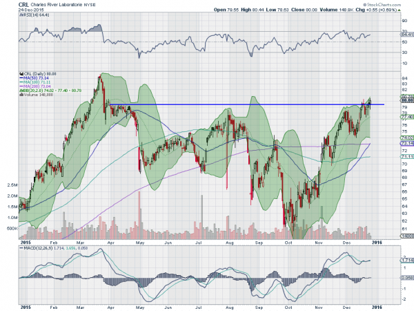 CRL Daily Chart