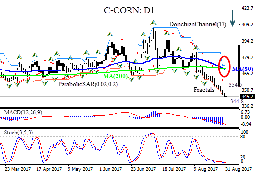 Corn Daily Chart