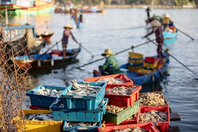 © Bloomberg. Freshly-caught fish sit in trays at Tan Quang market in Quang Nam province, Vietnam, on Wednesday, June 26, 2019. Fishermen are on the front lines of Asia’s most complex territorial dispute, which involves six claimants and outside powers like the U.S. with an interest in protecting a waterway that carries more than $3 trillion in trade each year. Photographer: Maika Elan/Bloomberg