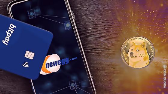 Computer Retail Firm Newegg Now Accepting DOGE for Payment