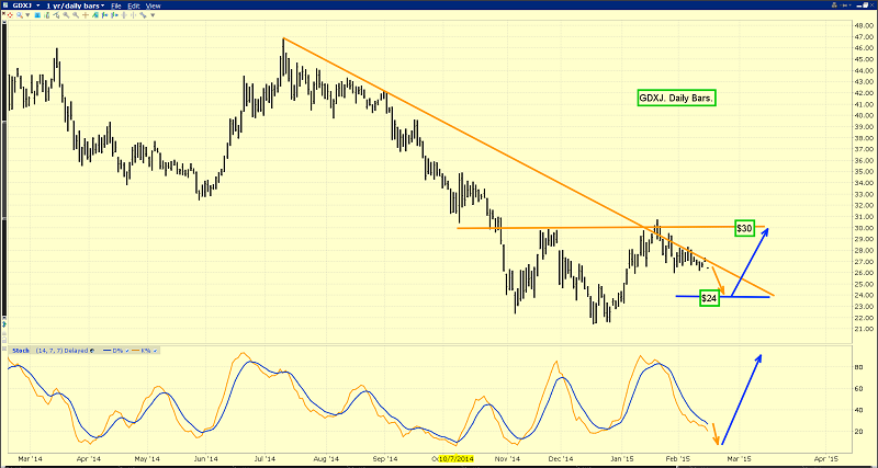 Daily Junior Gold Miners