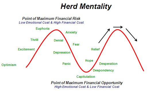 Herd Mentality Cycle